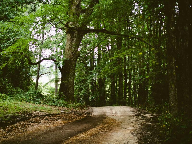 sudoku device transfer screenshot 3