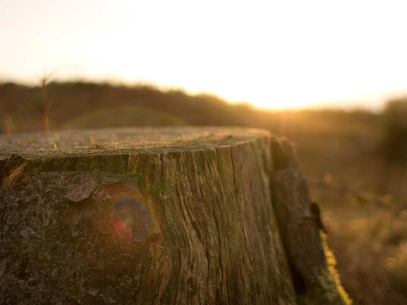 sudoku device transfer screenshot 4